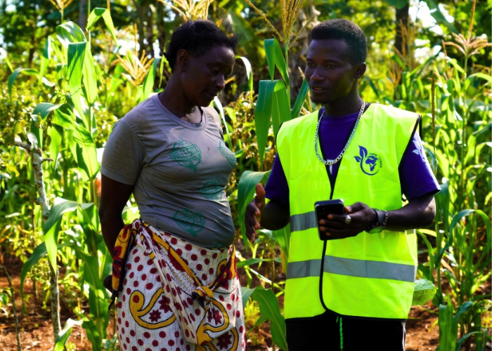 Can Youths Bridge Digital Divide In Agriculture In Africa?